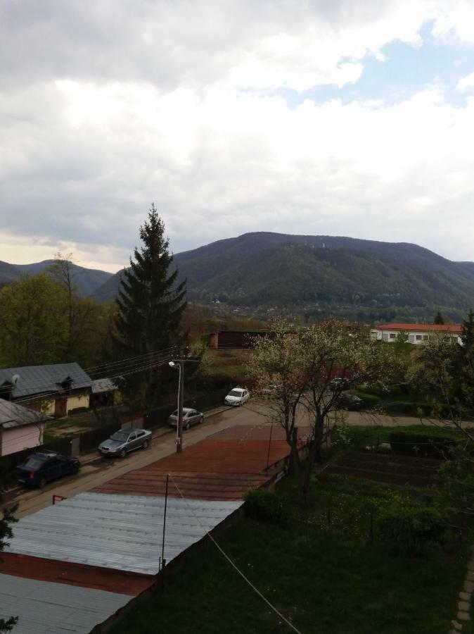 Apartament Elefant Tg. Ocna Apartment Târgu Ocna Exterior foto