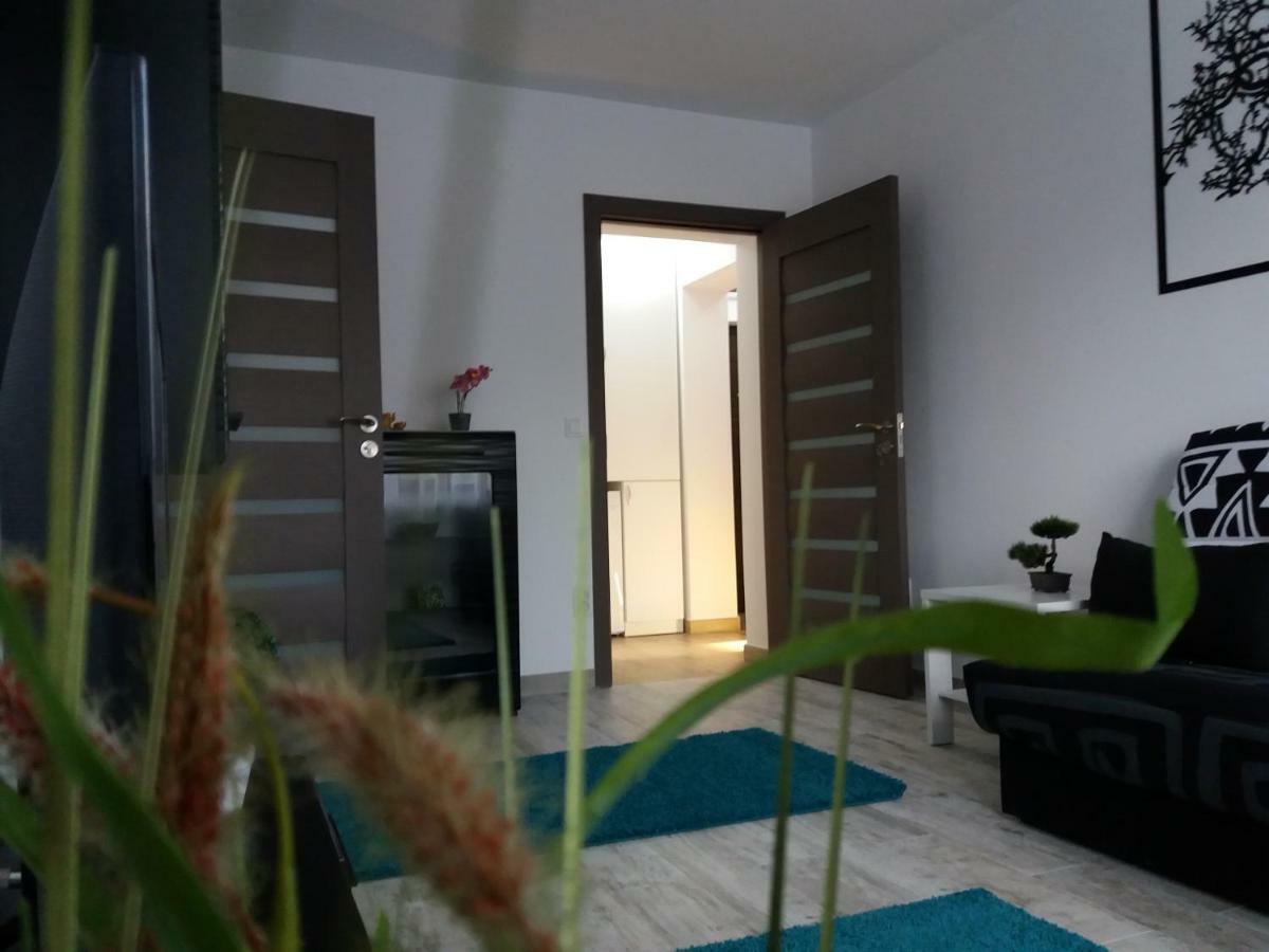 Apartament Elefant Tg. Ocna Apartment Târgu Ocna Exterior foto